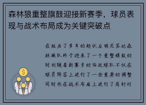 森林狼重整旗鼓迎接新赛季，球员表现与战术布局成为关键突破点