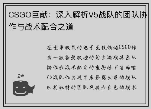 CSGO巨献：深入解析V5战队的团队协作与战术配合之道
