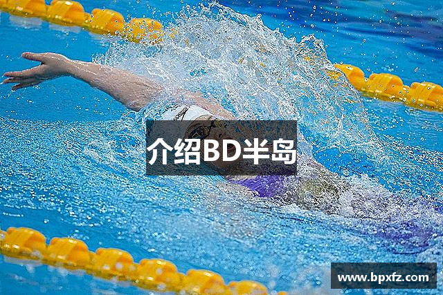 介绍BD半岛